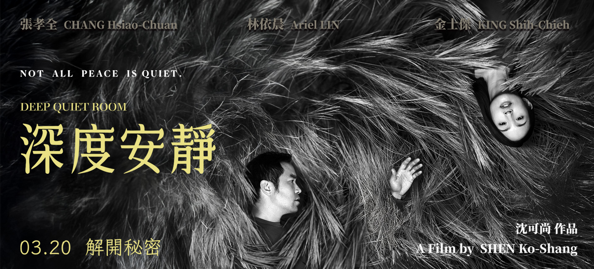 深度安静 深度安靜 (2025)【1080P流媒体正式版】【张孝全/林依晨/金士杰】【国语中字】-光鸭·臻影社